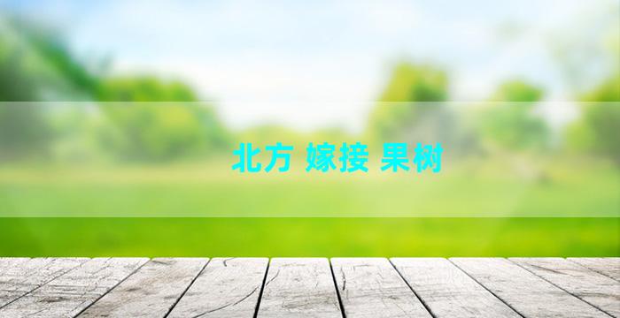 北方 嫁接 果树